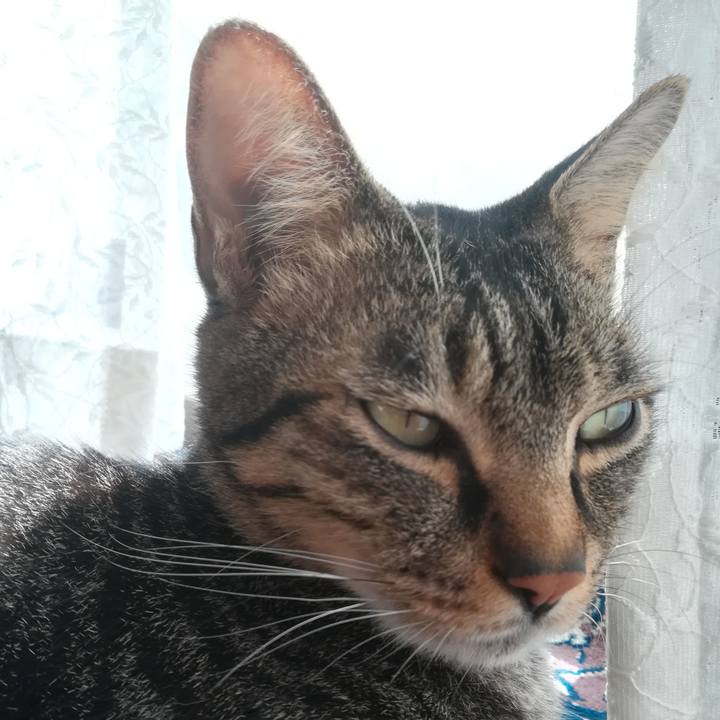 9d621f3c 52c6 4f3a abde d22cd37d3030 1570329916429