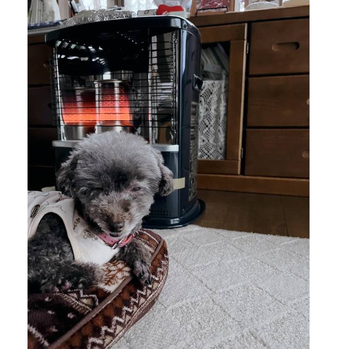 9d623106 e206 4934 996b 3d0e50f3a656 1669723128552