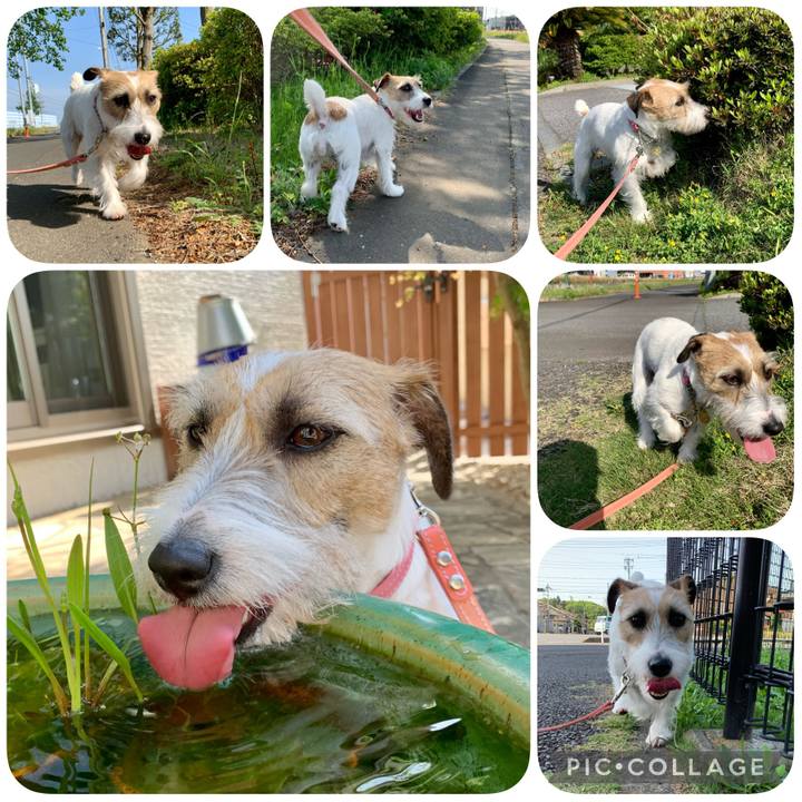 9d6238b2 e232 4b63 88a6 28fcc24cd991 1619844358877