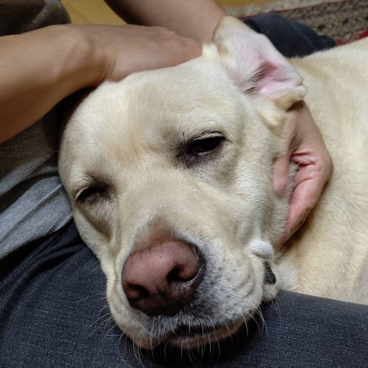 9d623994 1493 4a1a a75e 1289b6ecbb16 1600688011008