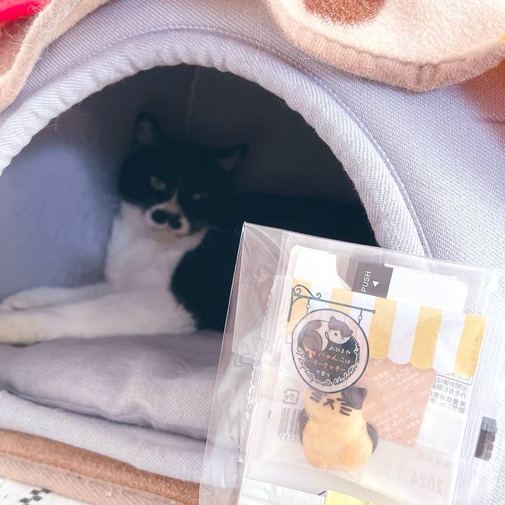 9d627eb1 954f 4c5c b026 25c79d977ef6 1705719696156