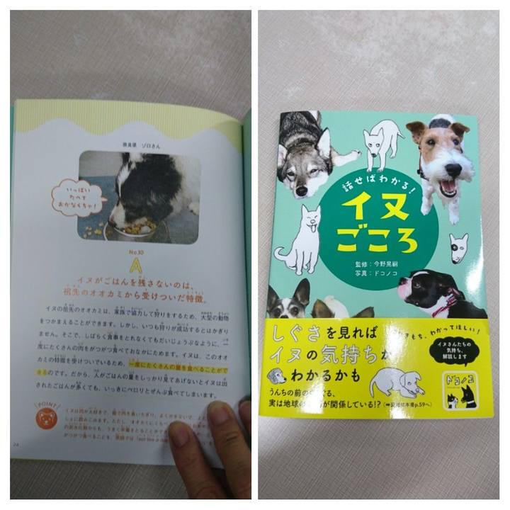 9d627fe7 06b9 4035 9cd1 944b2bacefd1 1595043829144