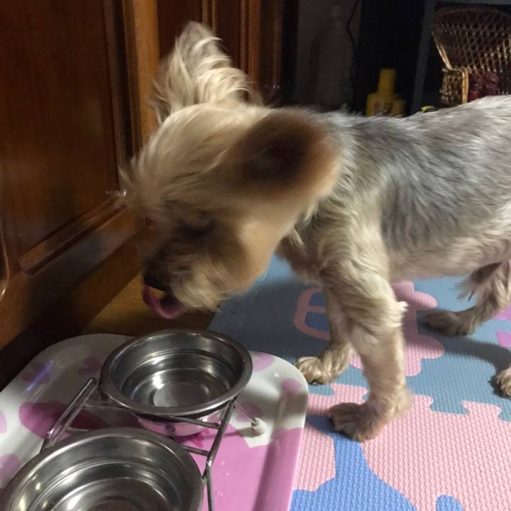 9d62bacd 31fb 41bf 9682 e3d82f261a5f 1598782128507