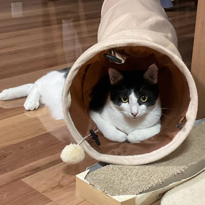 9d62baf5 c570 4763 a063 aa53ccc13b98 1635517101690