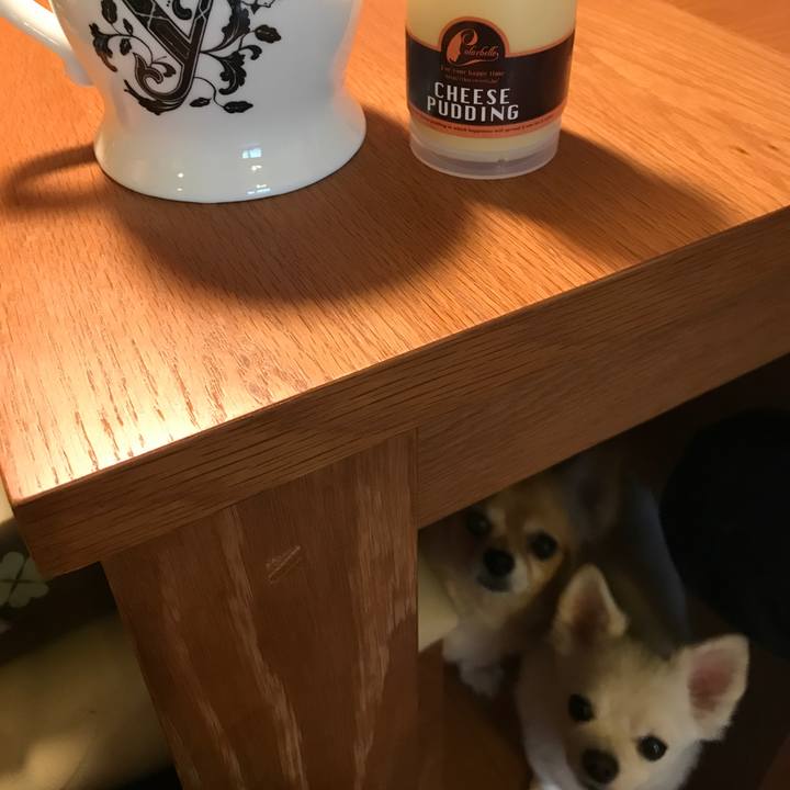 9d62f7de f408 457c af82 7e3a2ee03519 1508051718684