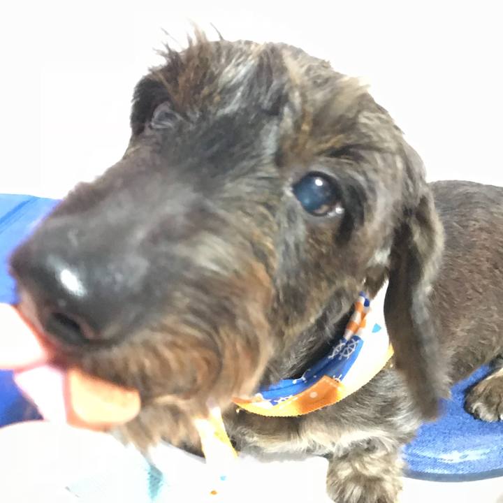 9d632690 4103 49ed be30 50ea3de76174 1535898555514