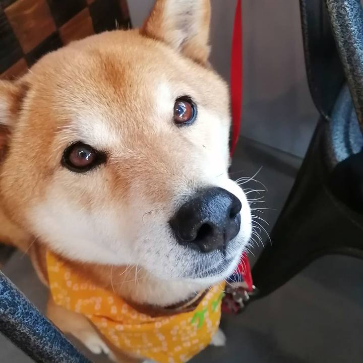 9d63340e 7b33 4d4d b3b2 d2c6f306a146 1650186393353