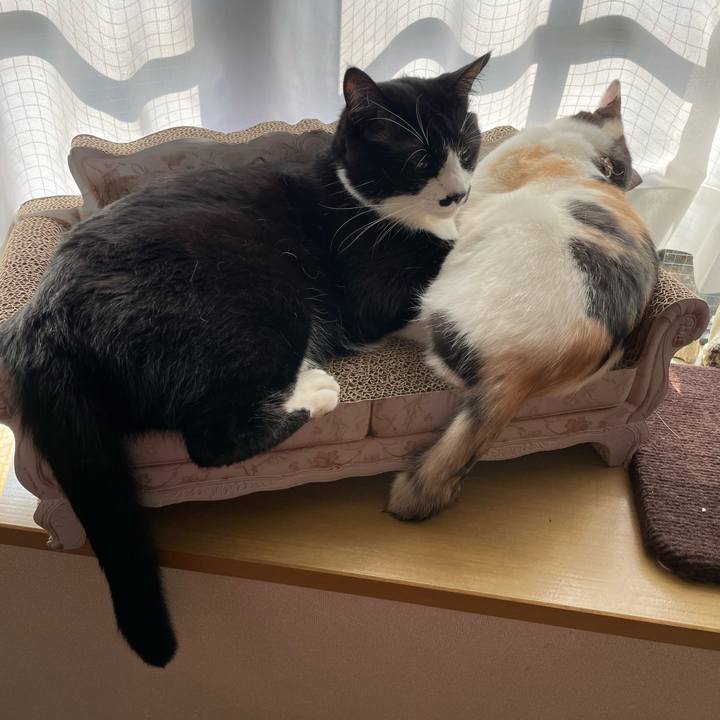 9d635ff0 6b5c 4b74 a87d c40f3705c2d5 1680654946804