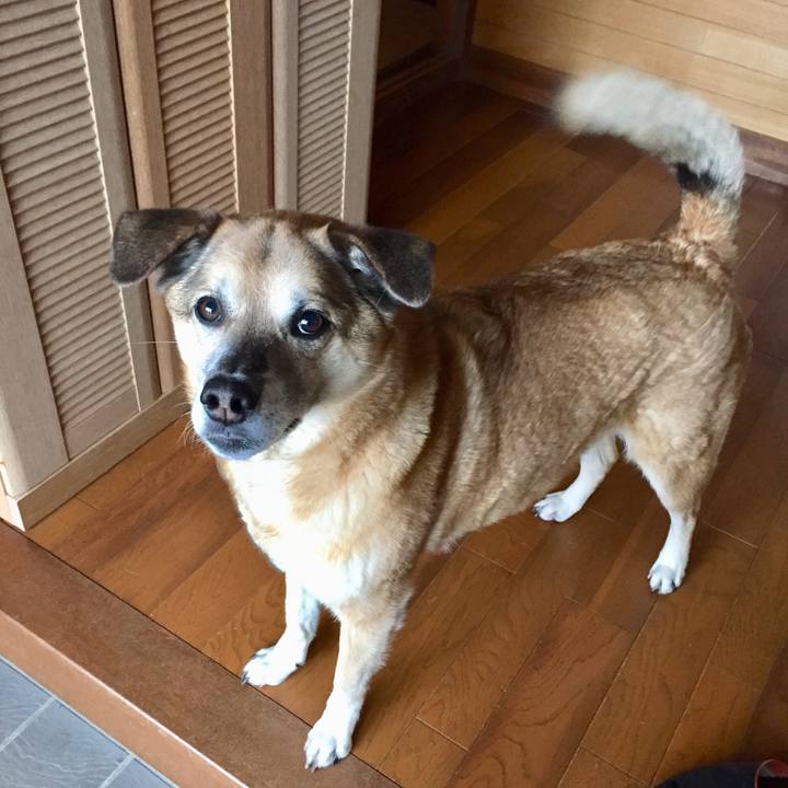 9d63673f 8713 435a 8444 f4552834eaea 1555494069589