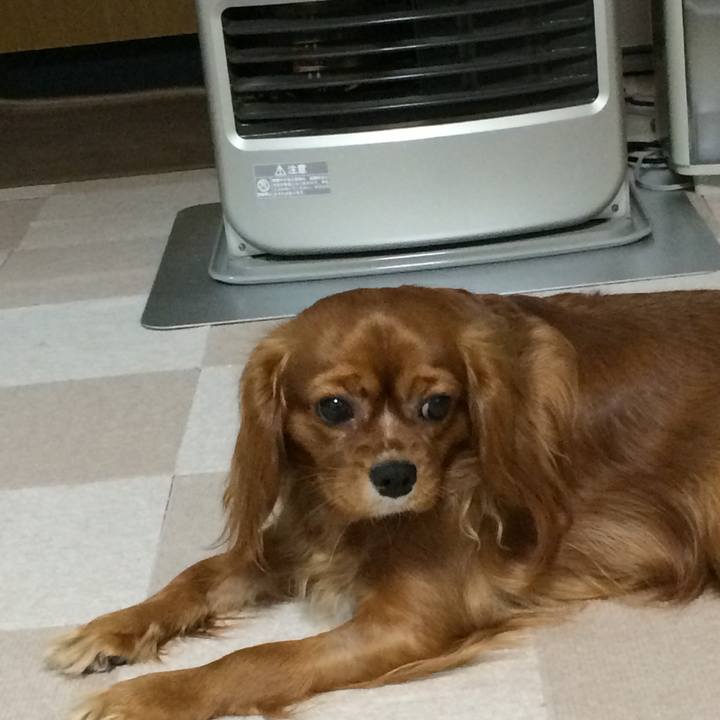 9d637618 1abb 40d9 9e9a 3b104ea58c7c 1515102852468