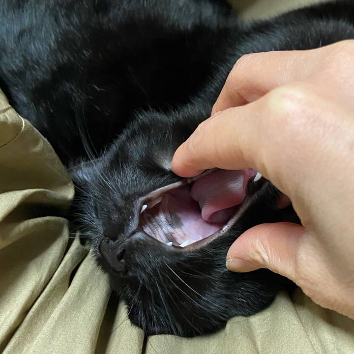 9d63863a cb3a 4e30 8306 6c9bb830411d 1618660160691