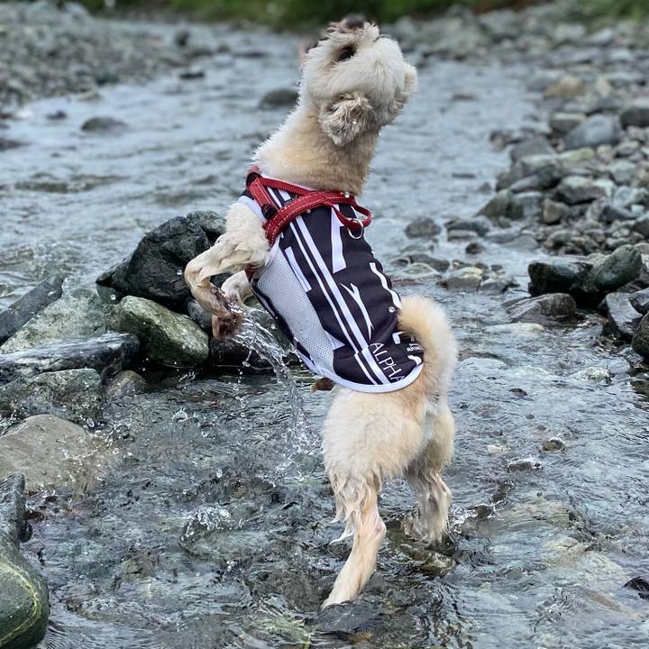 9d63afab 6f0f 4767 813d 13ada97e3c0f 1689081082254