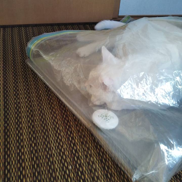 9d63b0a6 2875 4ba4 8ca9 a98f4694de53 1570670377914