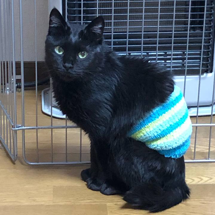 9d63c62f f871 4024 9414 b24c1652f047 1583015600588