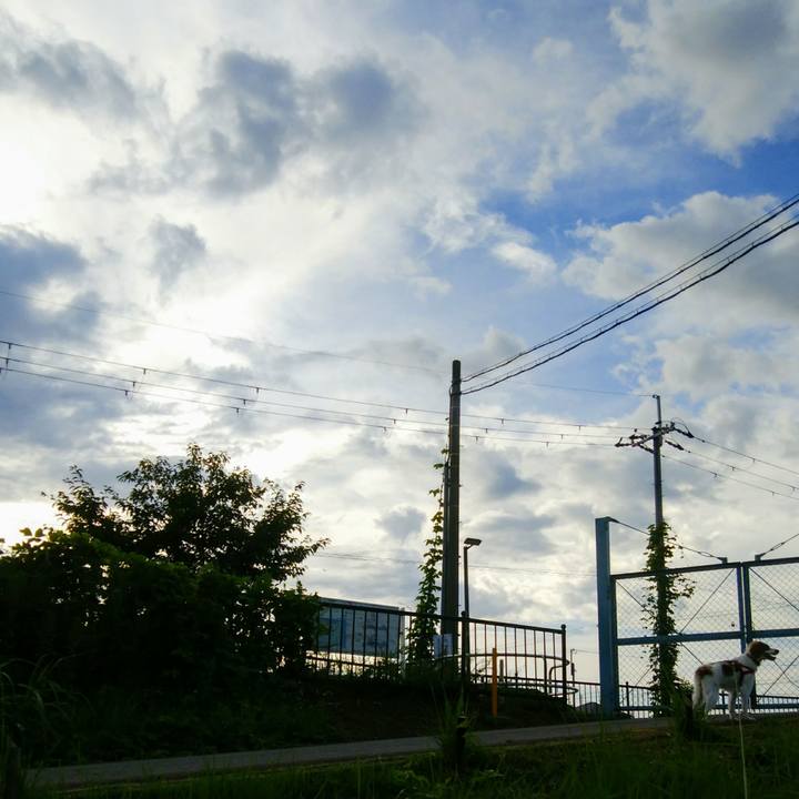 9d646876 8b40 4c90 a94d 9621d1842018 1534246180941