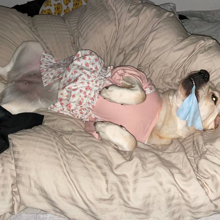 9d648127 53eb 4fb3 b7c6 c91b55184318 1640123223360