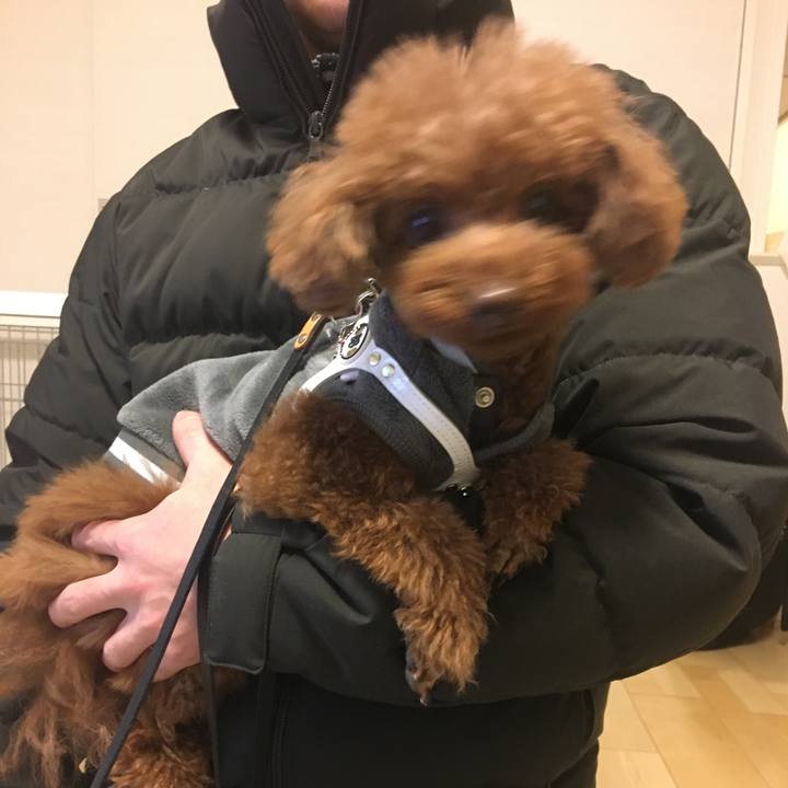 9d64c3d8 89ee 40a6 bbe4 835f29341d14 1550194256207