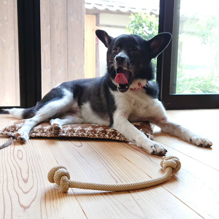 9d64f1ce be07 4570 aa7f 0c804a9b8d09 1595161885562