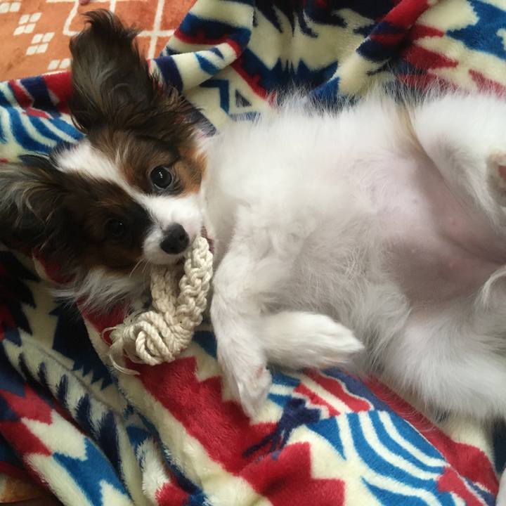 9d65056c f508 4cc9 a824 ad3e3dbe08e2 1631751466758