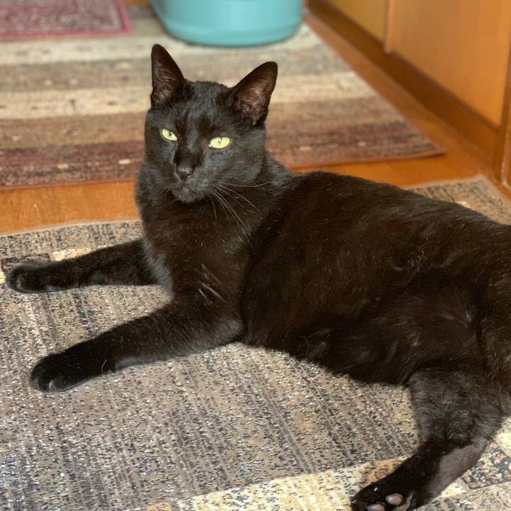 9d65230a 17c1 4ebb 8672 39cb47203351 1557280047747