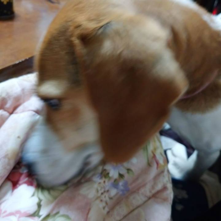 9d65396a 457b 410a a8c0 b003c93dc15f 1586520528184