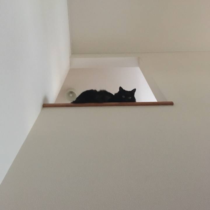 9d653df1 caa2 4b0e 8ec5 d88206f8ddd0 1533115157090