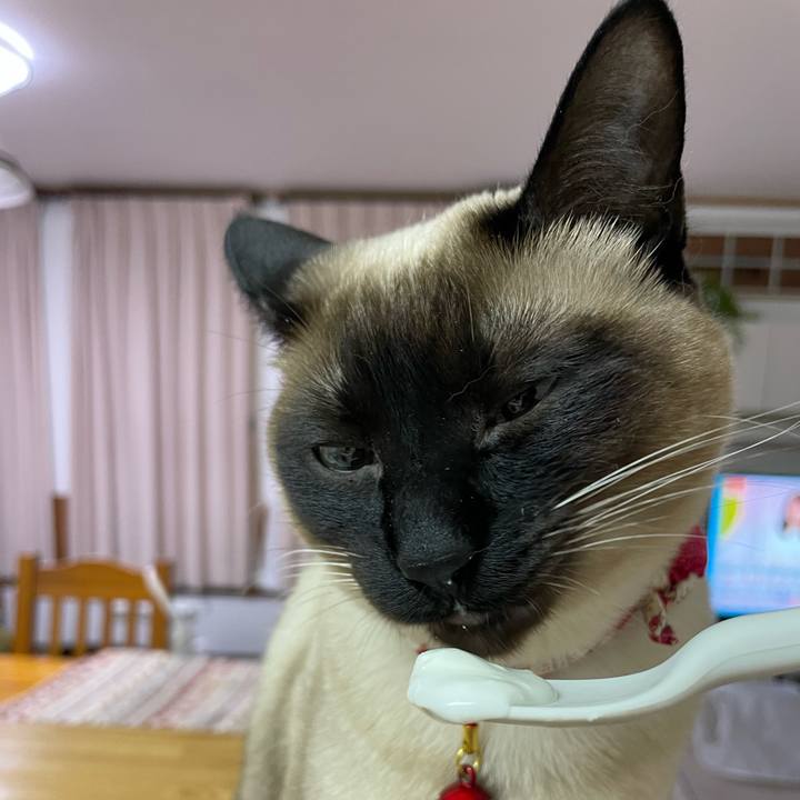 9d653f7d 270a 476e b776 b4a830fb5c6a 1738183085915