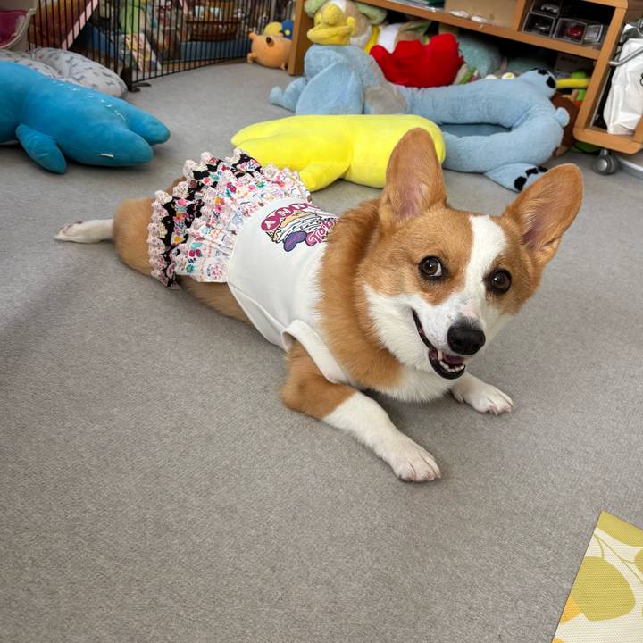 9d65b224 2866 465c bad9 bd35efe30fff 1760058686234