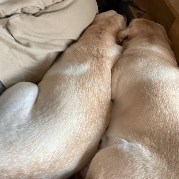 9d65eec9 c617 43e5 b7a5 bdf1c649f87e 1672365919546