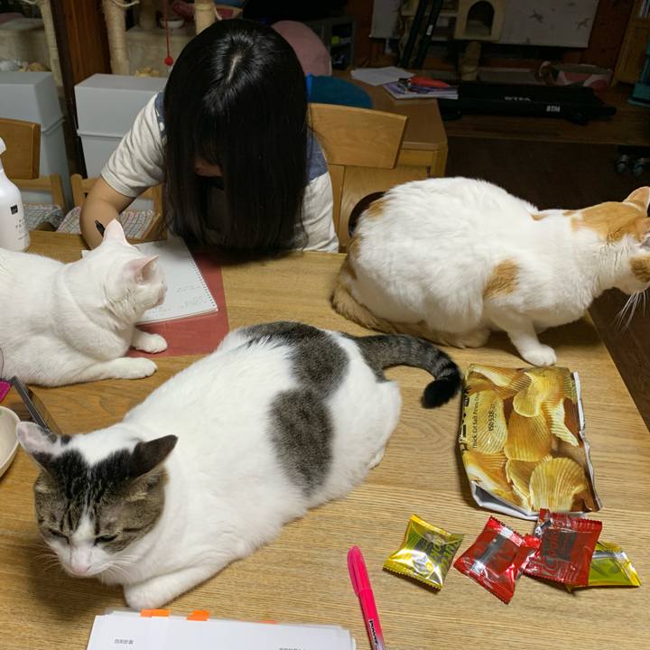 9d66a1dd eff8 4375 b516 2b53b6aada08 1626180559930