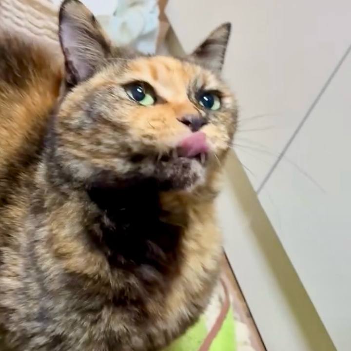 9d66a45c af21 4568 8ab2 34335e268bf6 1764105135709