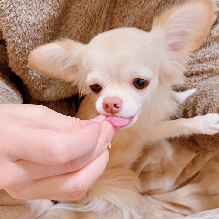 9d66b014 b64f 4cc5 9abb 9ad225c828e2 1668861057637