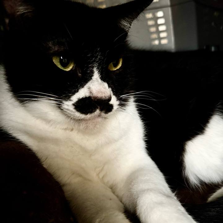 9d66e100 a97e 4ace b4b4 dee13ff4f3bf 1761091568498