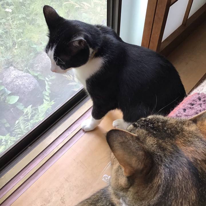 9d6720d0 aab5 41eb ae51 ae9e211359f0 1651483418600