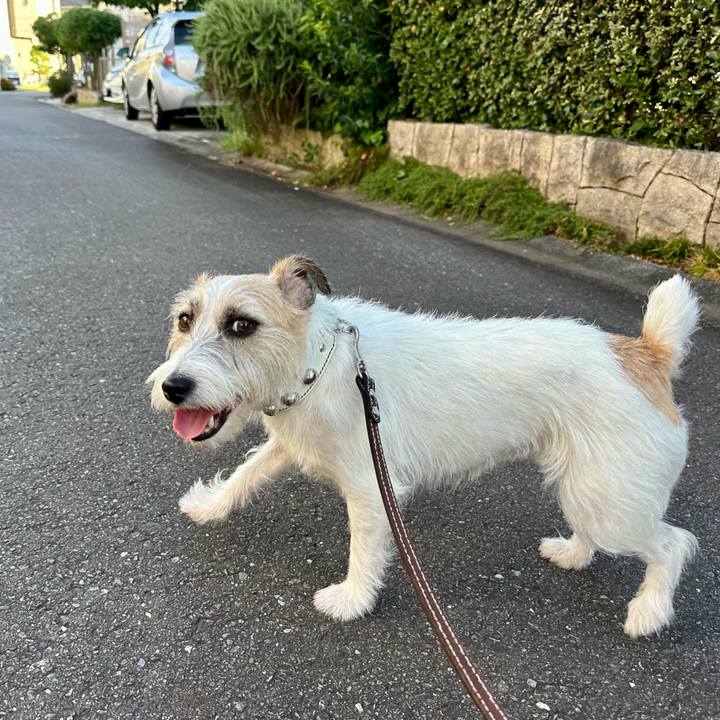 9d6769fb 927e 45d5 8451 0d265bb1c5e5 1753596427230