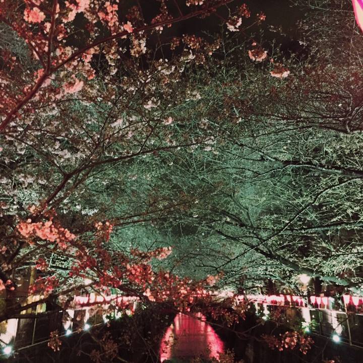 9d678fd1 c047 44d9 baa1 4beedc14afc5 1521621542959