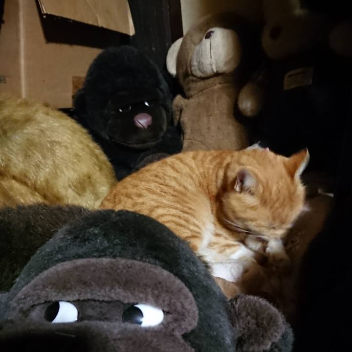 9d67a63e 6184 4765 8008 5158e2ecade7 1606130458099