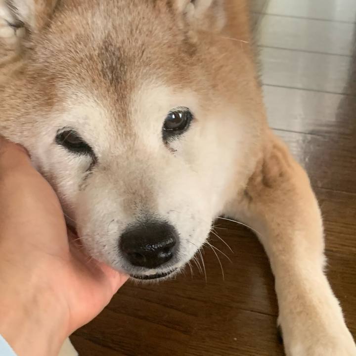 9d67bef5 e9f4 48fb a8f9 bcfeeb1f7835 1645324514963