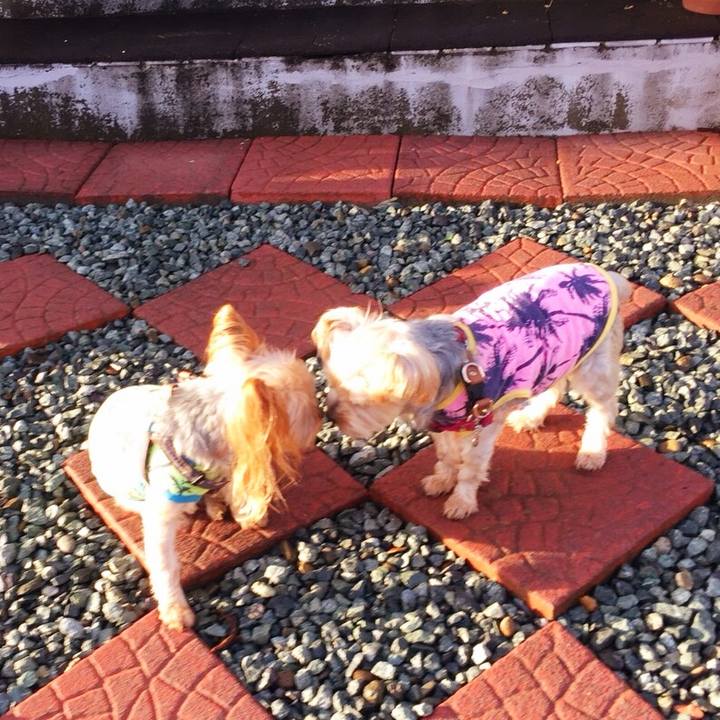 9d67c3dc 94d0 407c 9c49 9e9e0f658d85 1537312190030