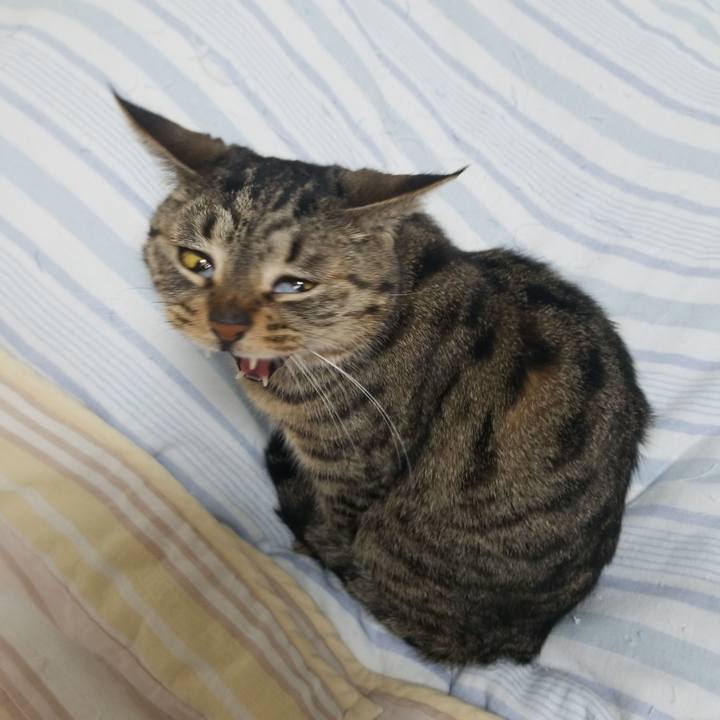 9d67c48f 0b75 4802 a88b 1cb4da51cd07 1587590867104