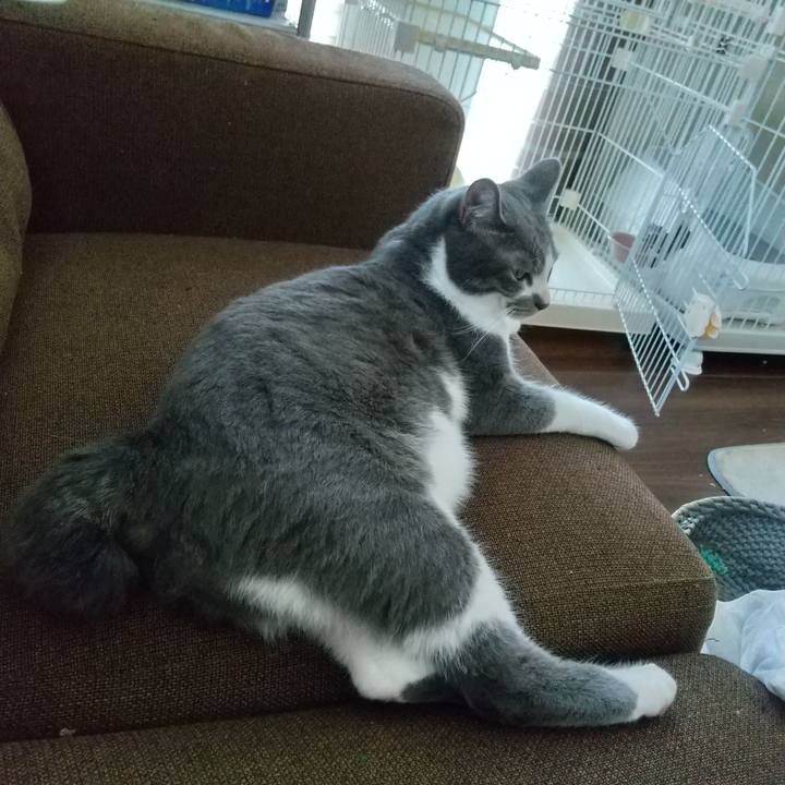 9d67e661 2bc5 4aba 986e 701ba5a81d12 1627800179832