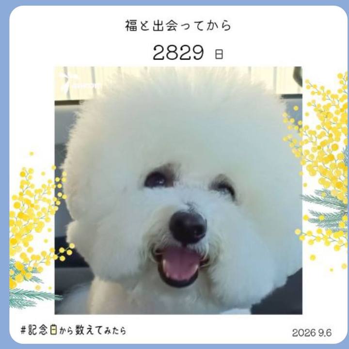 9d67f1a3 d27d 4e09 bb61 caa10c5a8145 1788698214607