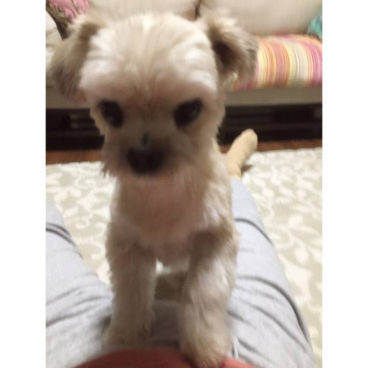 9d67f574 b67c 4460 9385 5bf577dbc6e8 1554472800091