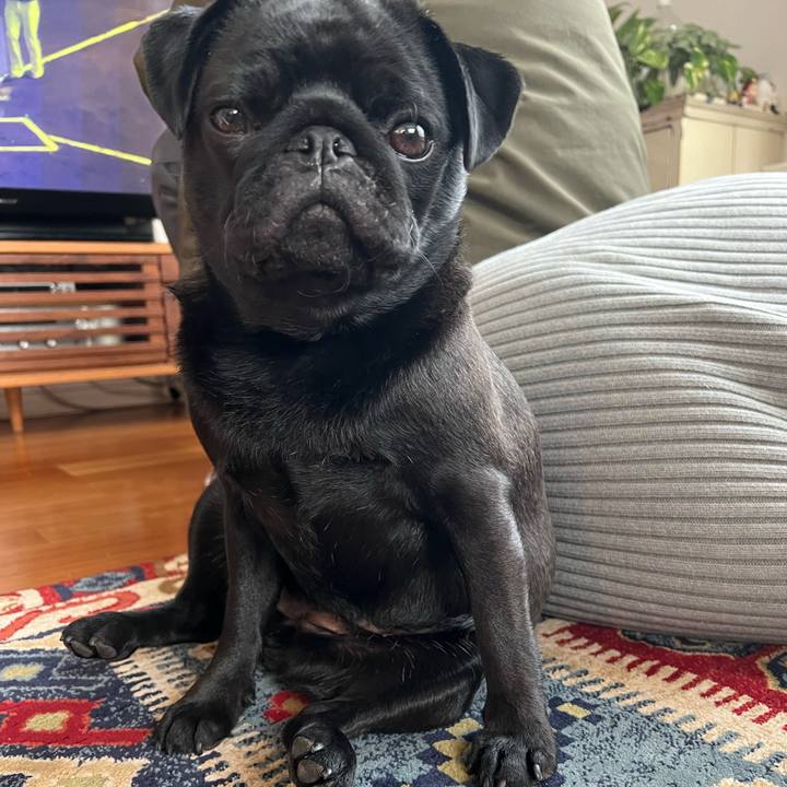 9d67f790 42da 4376 ae7c de4d50e2bcd5 1644124821936