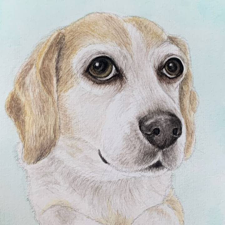 9d684752 758a 4984 aba4 6a3281fbd949 1694829056425