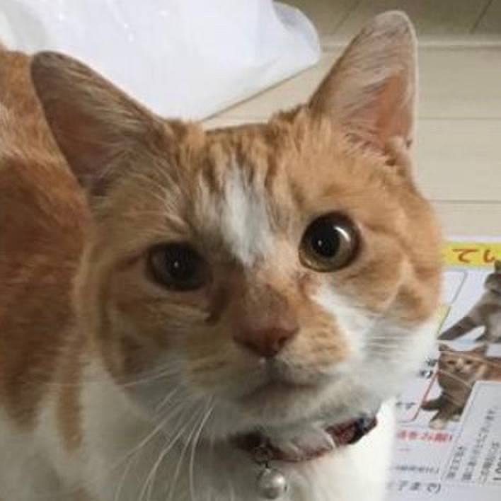 9d684d86 acab 4fcf a35e d0d82ade1a3e 1613193234083