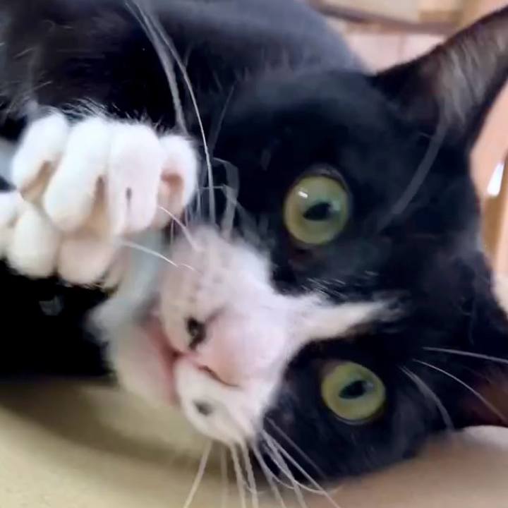 9d684f7c 1f97 41c3 a011 8a96832e7c22 1728536760236