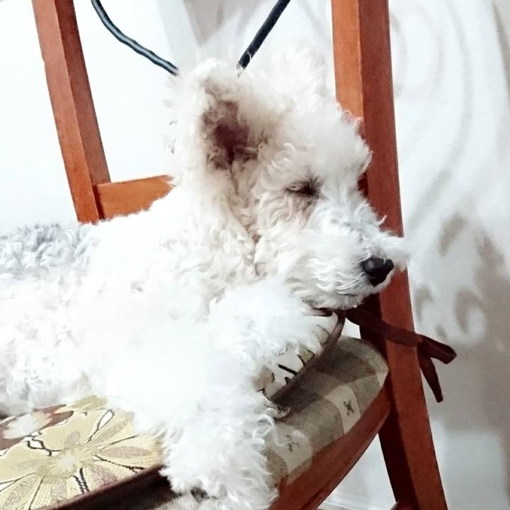 9d684fa9 2195 41cb 9c40 20eeb4bbf895 1512221022612