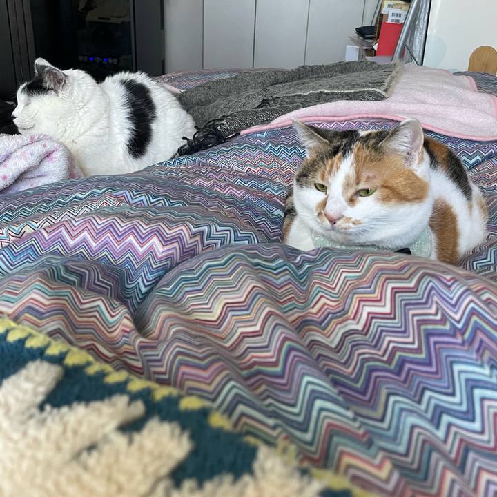 9d68502a fc6b 48d8 8bdb a872708fdbaf 1676080946880