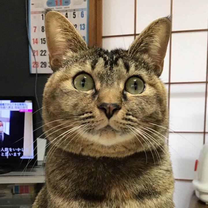 9d6878f9 5368 4aca b68f 9abcd12eff9a 1638141735170